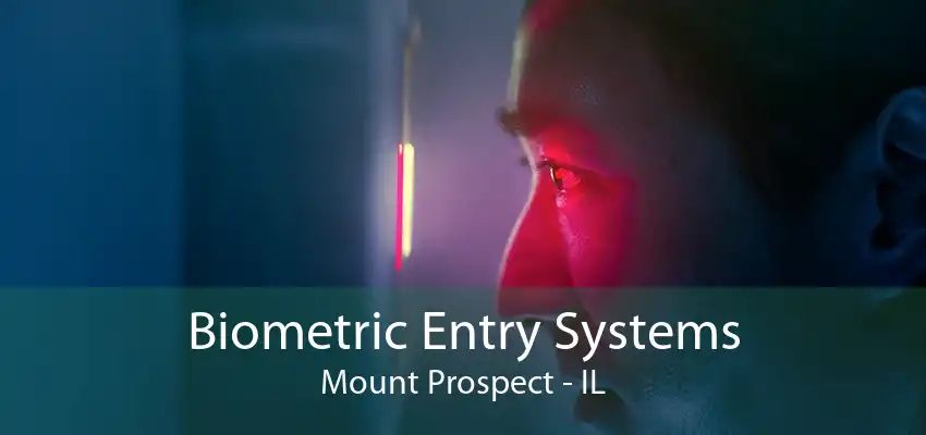 Biometric Entry Systems Mount Prospect - IL