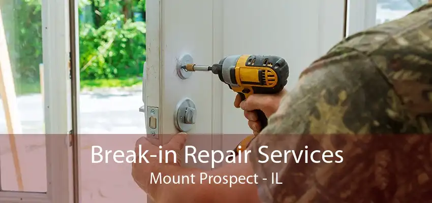 Break-in Repair Services Mount Prospect - IL