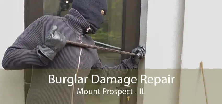 Burglar Damage Repair Mount Prospect - IL