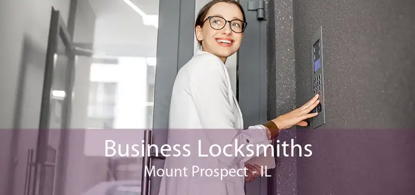 Business Locksmiths Mount Prospect - IL