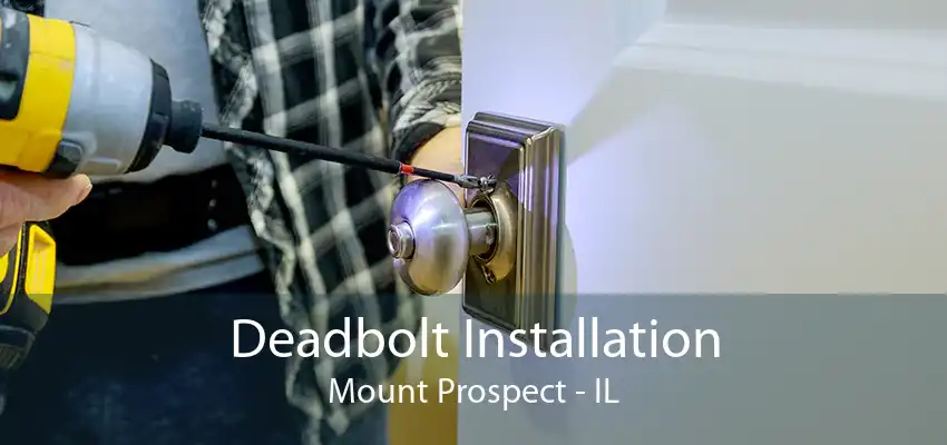 Deadbolt Installation Mount Prospect - IL