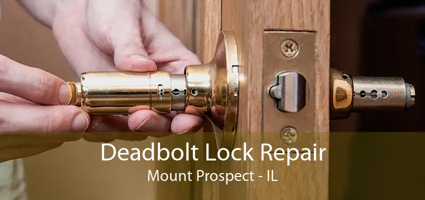 Deadbolt Lock Repair Mount Prospect - IL