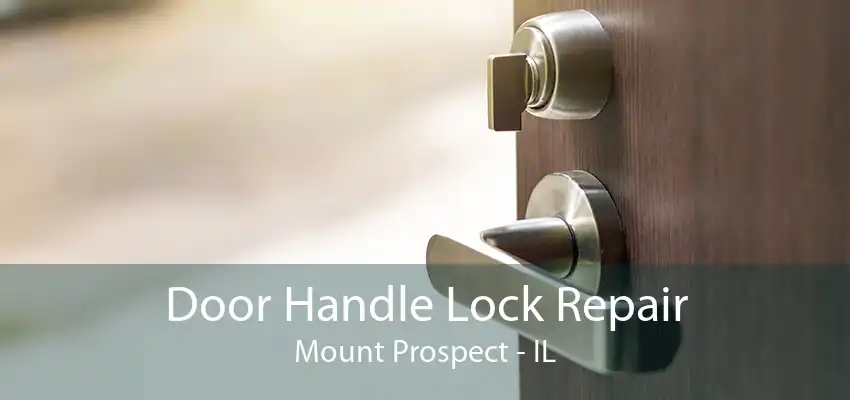 Door Handle Lock Repair Mount Prospect - IL