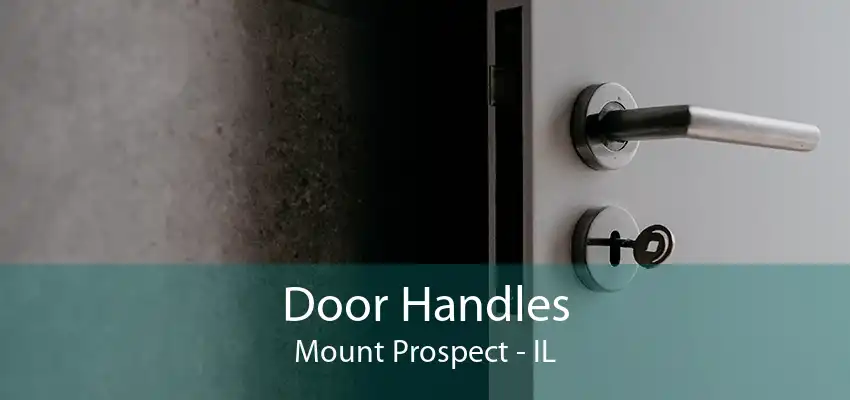 Door Handles Mount Prospect - IL