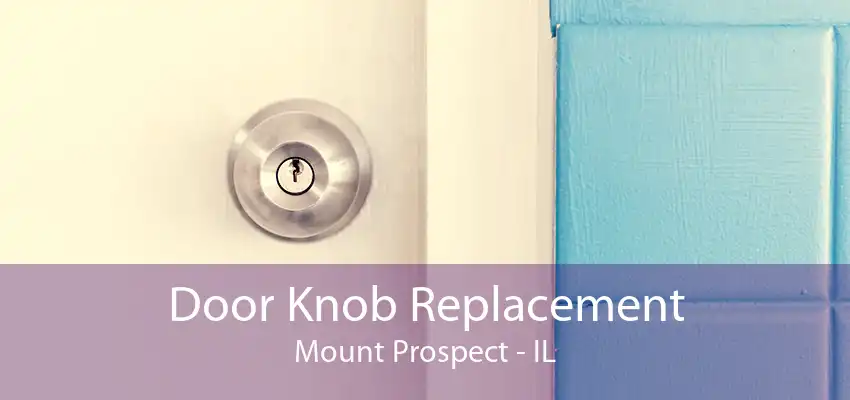 Door Knob Replacement Mount Prospect - IL