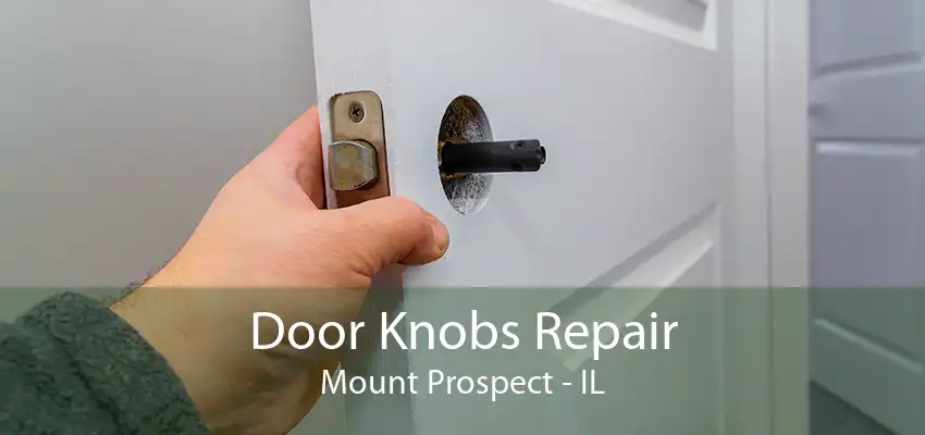 Door Knobs Repair Mount Prospect - IL