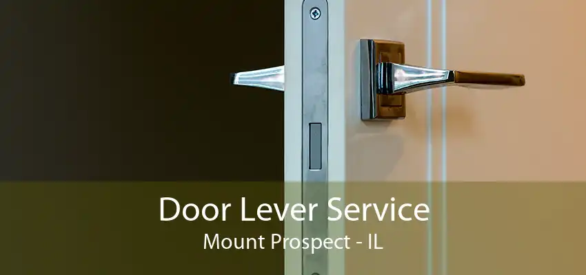 Door Lever Service Mount Prospect - IL