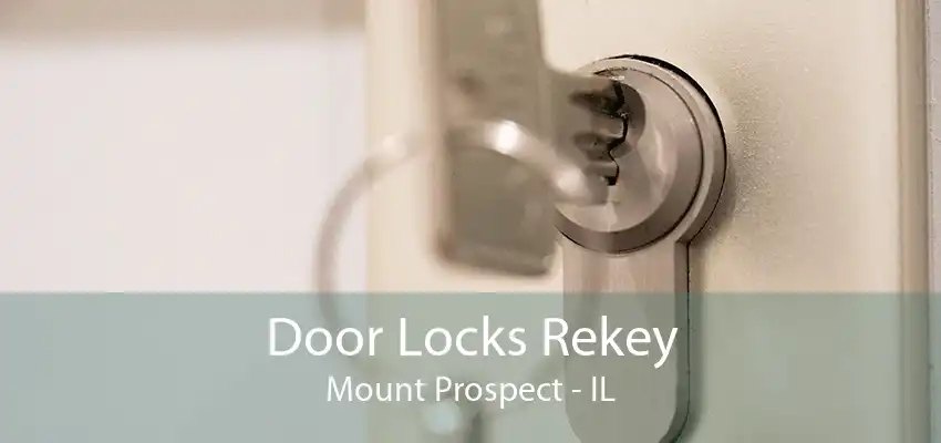 Door Locks Rekey Mount Prospect - IL