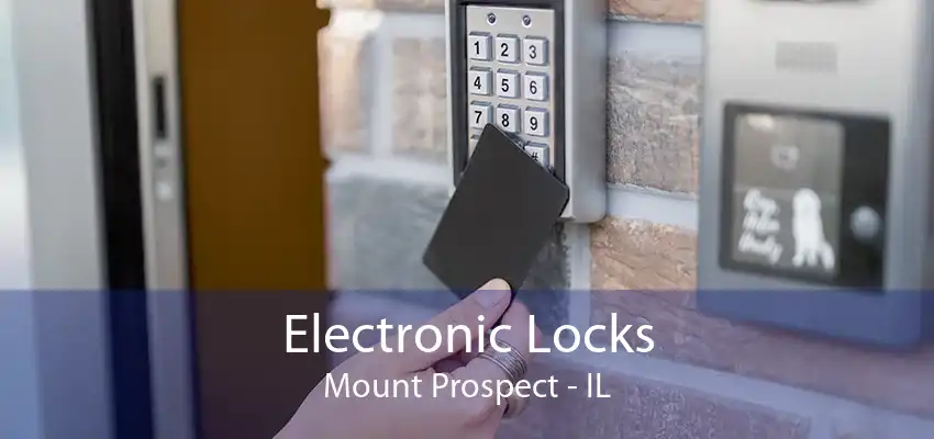 Electronic Locks Mount Prospect - IL