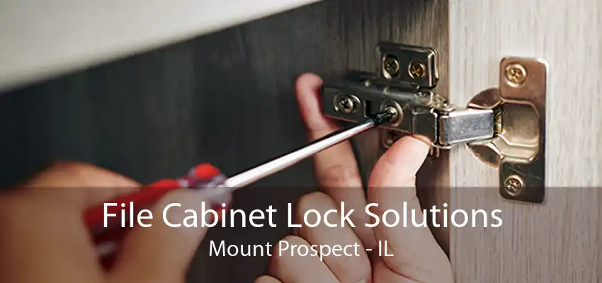 File Cabinet Lock Solutions Mount Prospect - IL