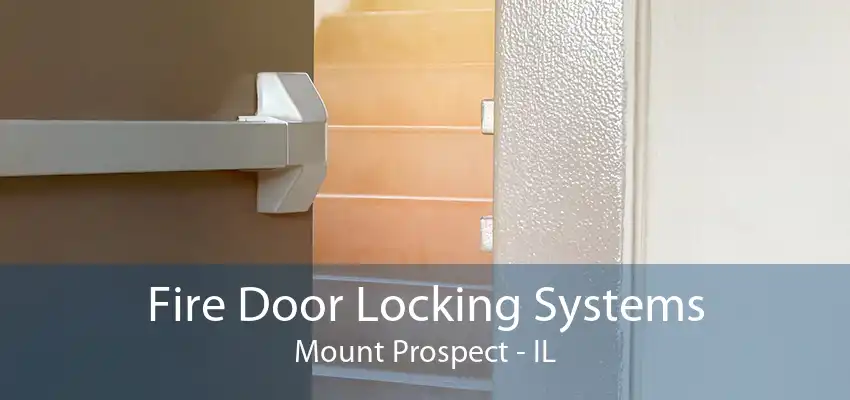 Fire Door Locking Systems Mount Prospect - IL