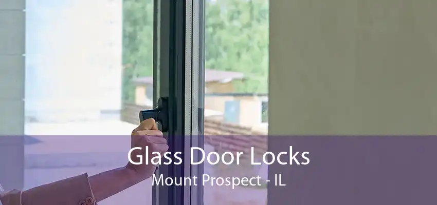 Glass Door Locks Mount Prospect - IL