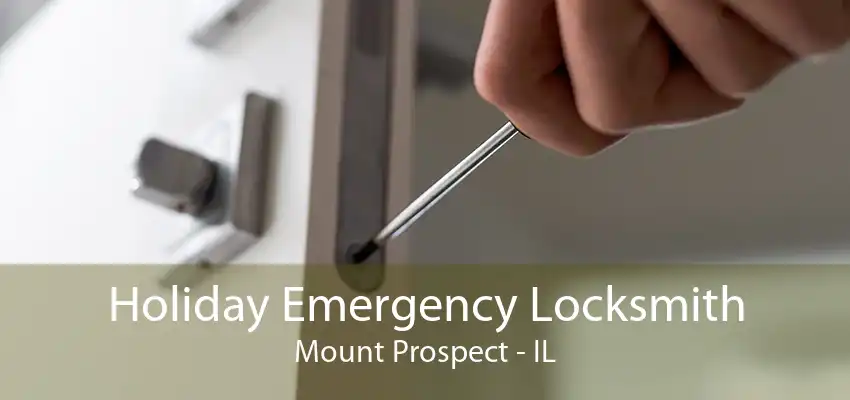 Holiday Emergency Locksmith Mount Prospect - IL