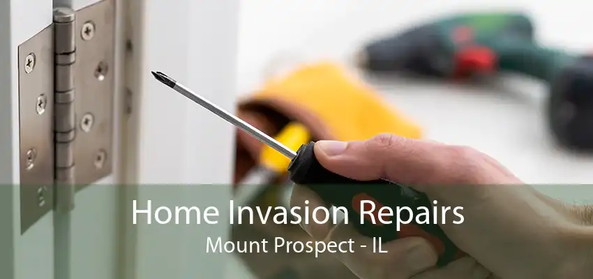 Home Invasion Repairs Mount Prospect - IL