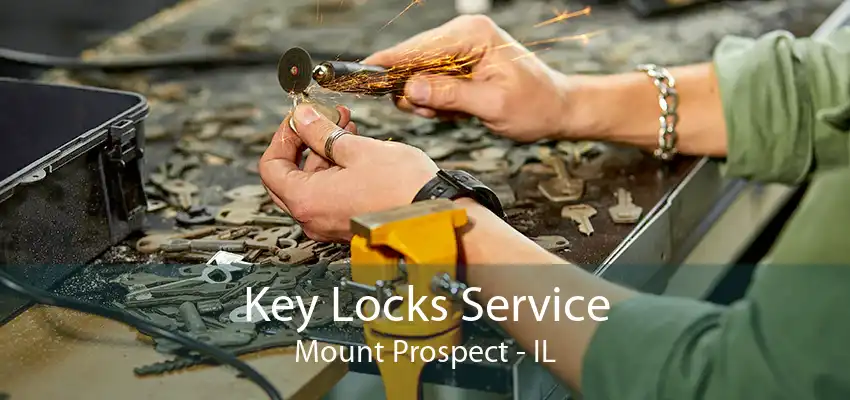 Key Locks Service Mount Prospect - IL