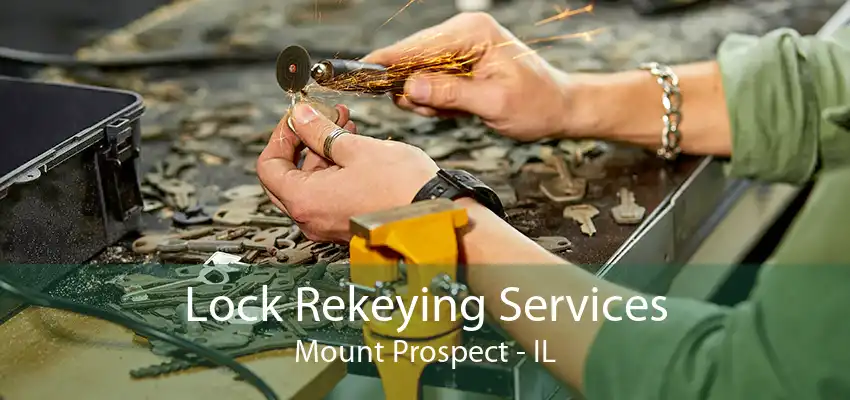 Lock Rekeying Services Mount Prospect - IL