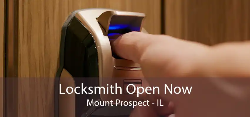 Locksmith Open Now Mount Prospect - IL