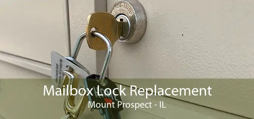 Mailbox Lock Replacement Mount Prospect - IL