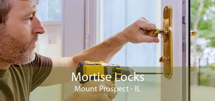 Mortise Locks Mount Prospect - IL