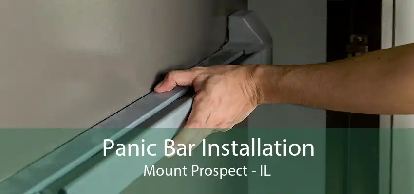 Panic Bar Installation Mount Prospect - IL