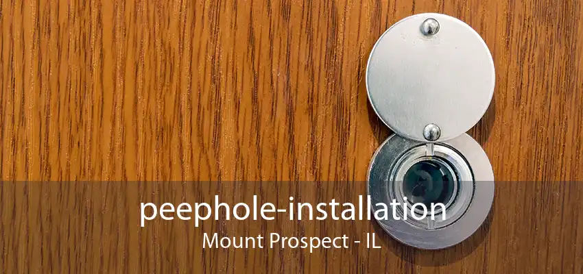 peephole-installation Mount Prospect - IL