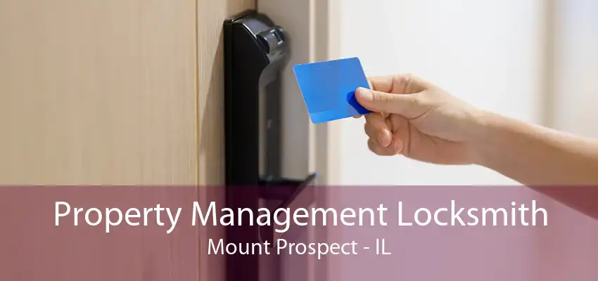 Property Management Locksmith Mount Prospect - IL