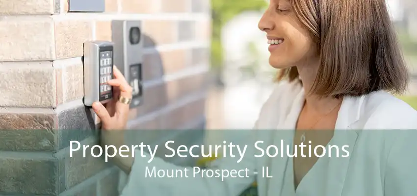 Property Security Solutions Mount Prospect - IL