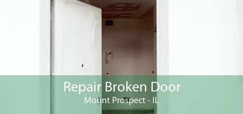 Repair Broken Door Mount Prospect - IL