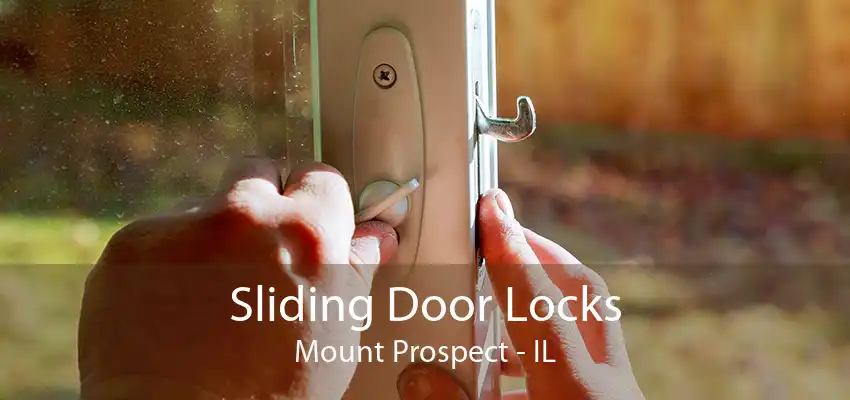 Sliding Door Locks Mount Prospect - IL